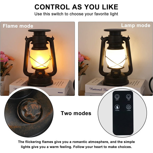 Haitral 9.5'' Solar Powered Integrated LED Color Changing Outdoor Lantern Wayfair